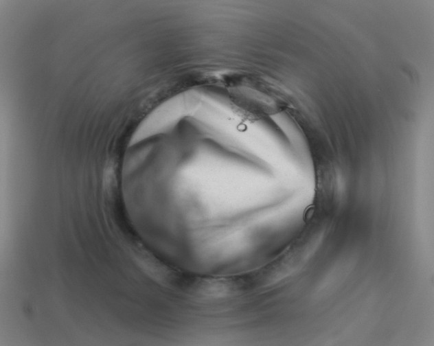 X0000114080127200910191550