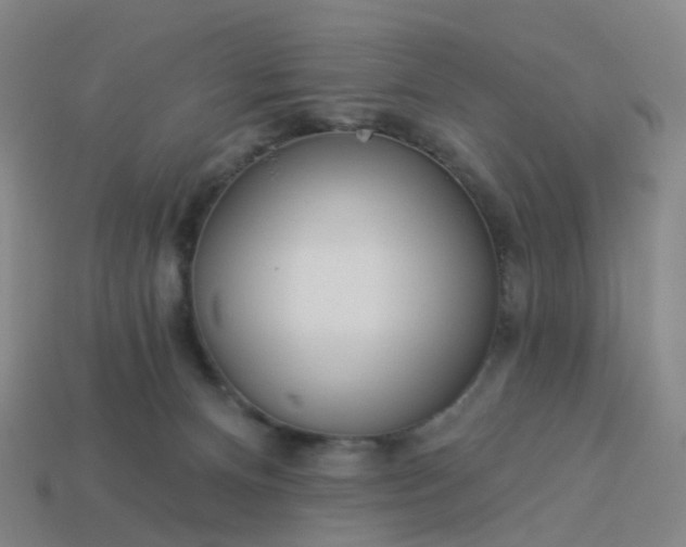 X0000114080128200910191550