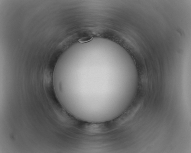 X0000114080129200910191550