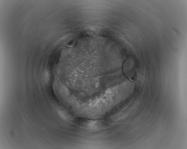 X0000114080130200910191550