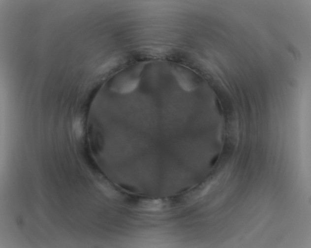 X0000114080131200910191550