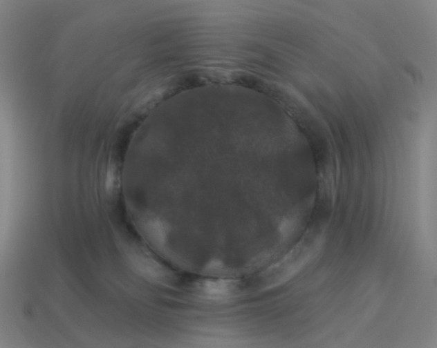 X0000114080134200910191550