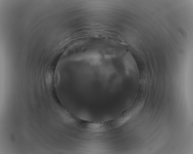 X0000114080139200910191550