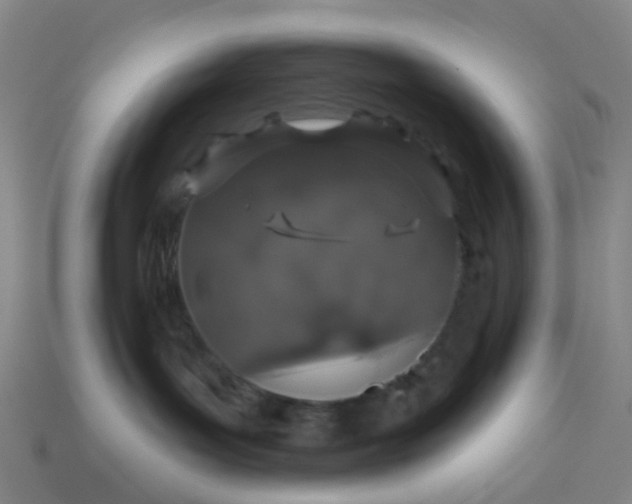 X0000114080143200910191550