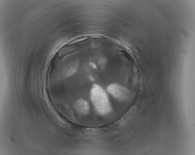 X0000114080145200910191549