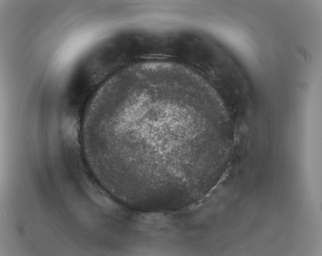 X0000114080146200910191549