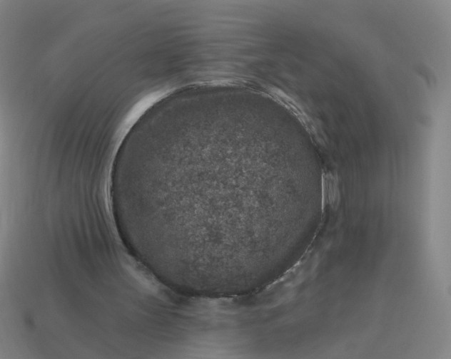 X0000114080147200910191549