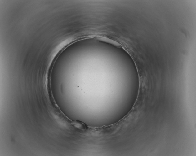 X0000114080148200910191549