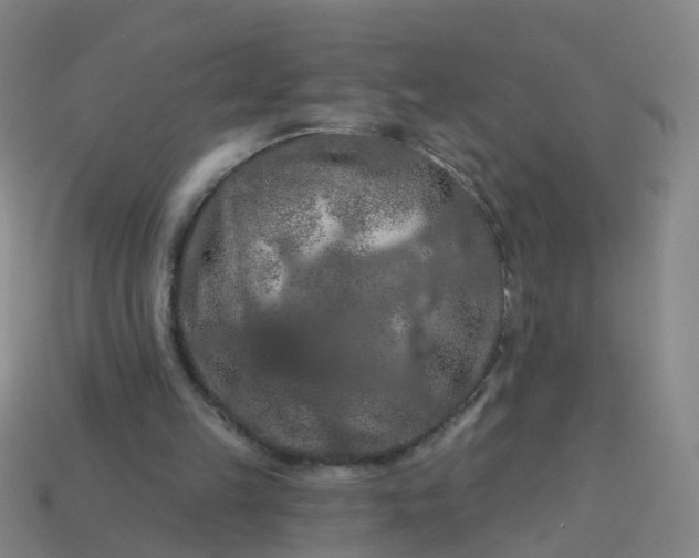 X0000114080149200910191549