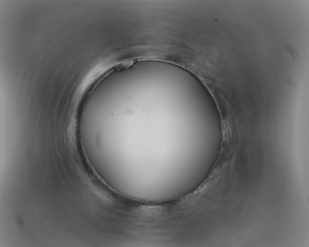 X0000114080150200910191549