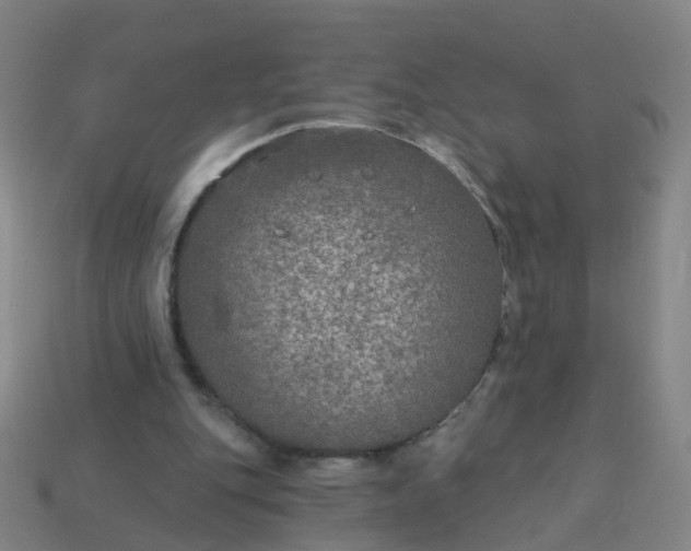 X0000114080151200910191549