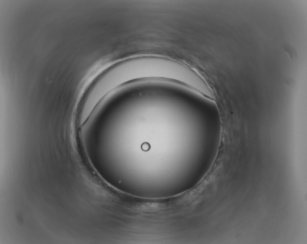 X0000114080152200910191549