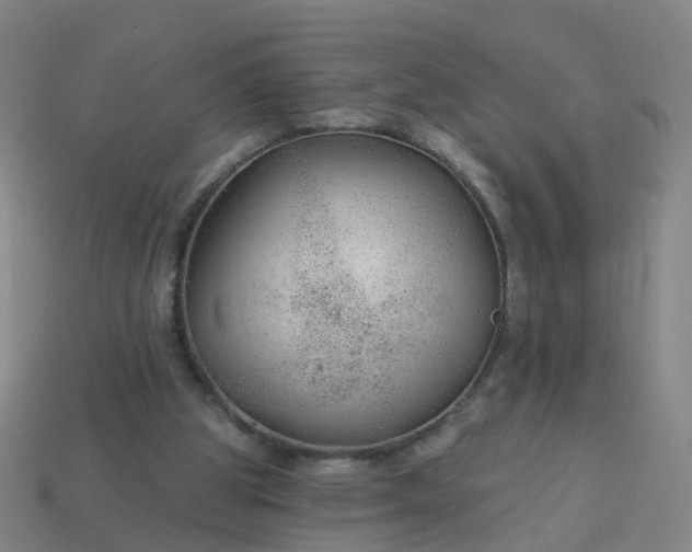 X0000114080153200910191549