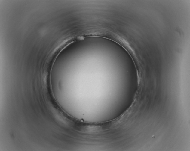 X0000114080154200910191549