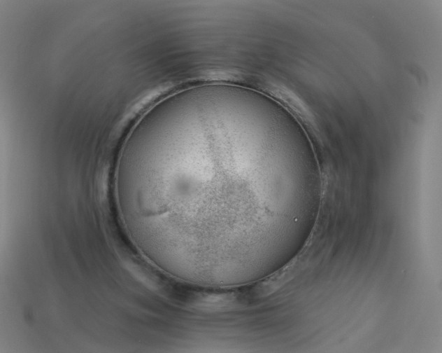 X0000114080155200910191549