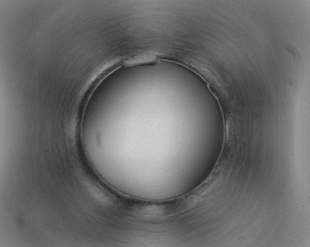 X0000114080156200910191549