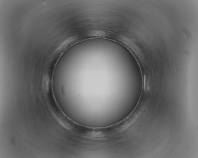 X0000114080157200910191549