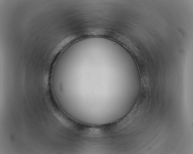 X0000114080159200910191549