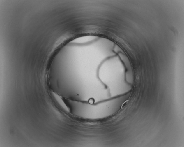 X0000114080160200910191549