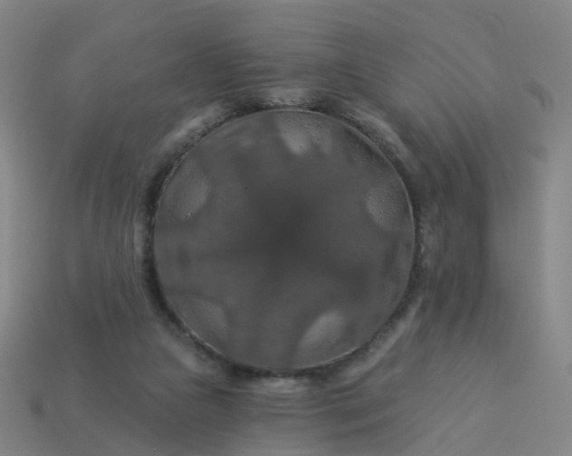 X0000114080161200910191549