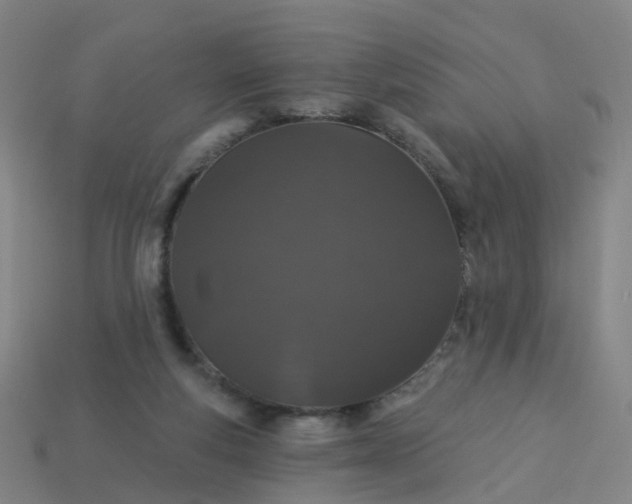 X0000114080163200910191549