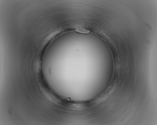 X0000114080164200910191549