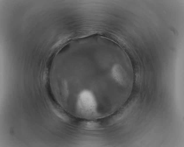 X0000114080165200910191549