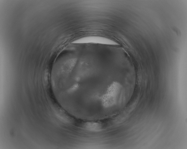 X0000114080169200910191549