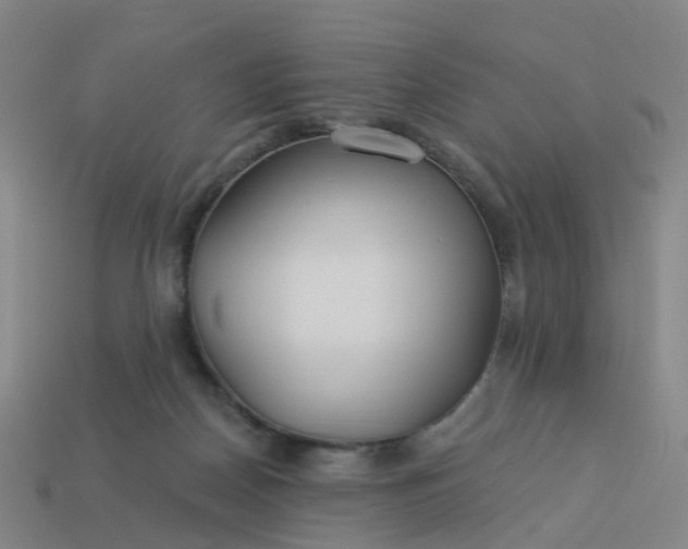 X0000114080170200910191549