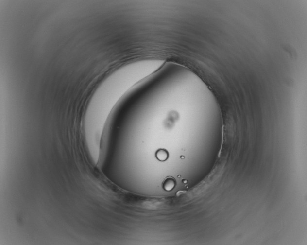 X0000114080172200910191549