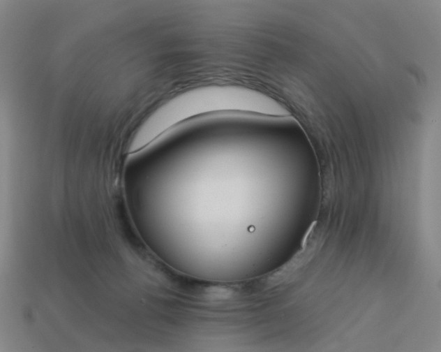 X0000114080176200910191550