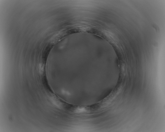 X0000114080177200910191550