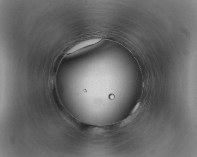 X0000114080180200910191550