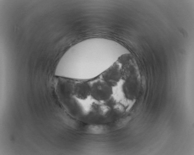 X0000114080181200910191550