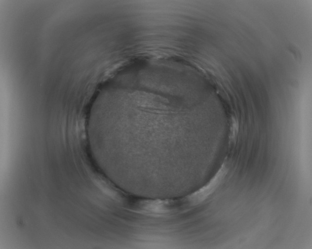 X0000114080182200910191550