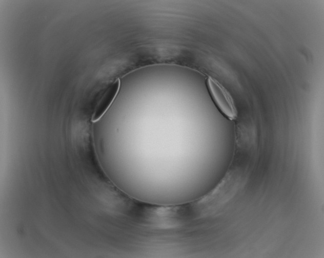 X0000114080184200910191550