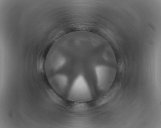 X0000114080185200910191550