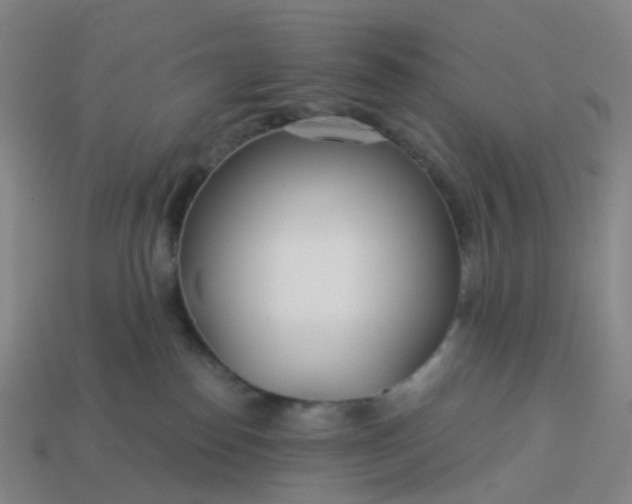 X0000114080186200910191550