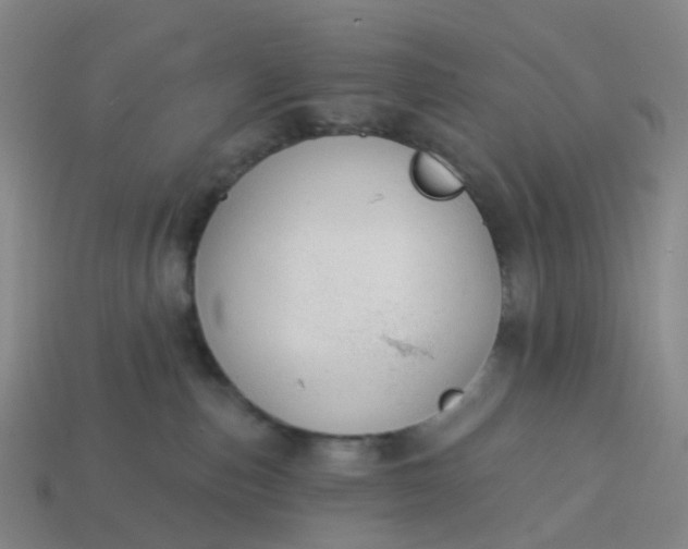 X0000114080187200910191550