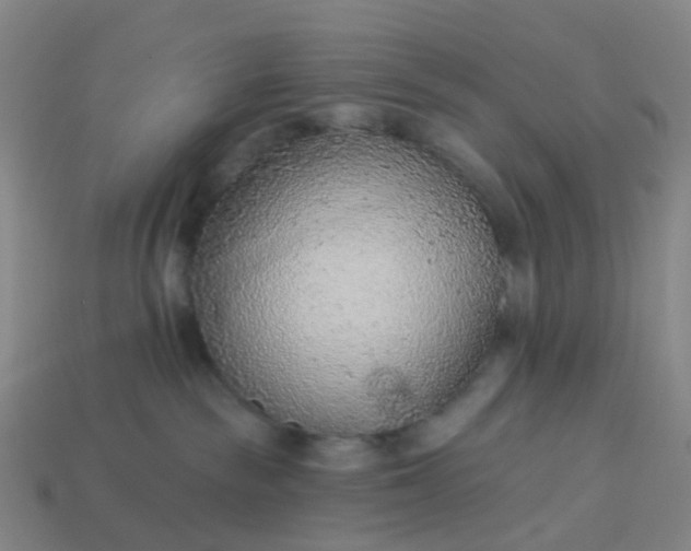 X0000114080189200910191550