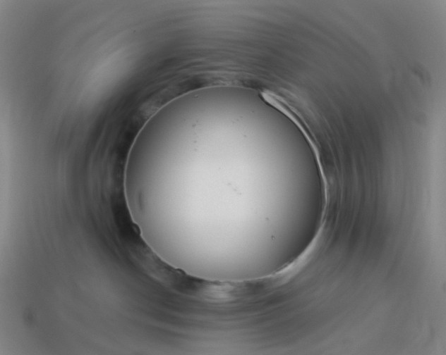 X0000114080190200910191550