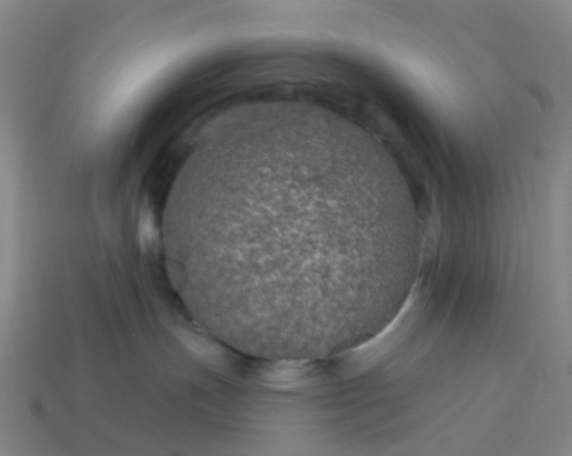 X0000114080191200910191550