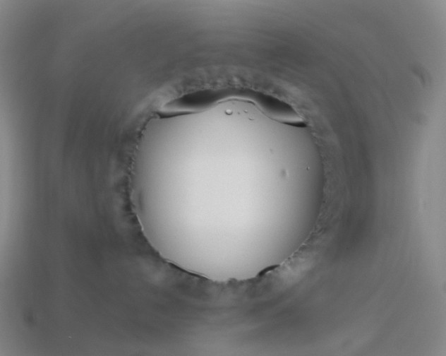 X0000114080192200910191550