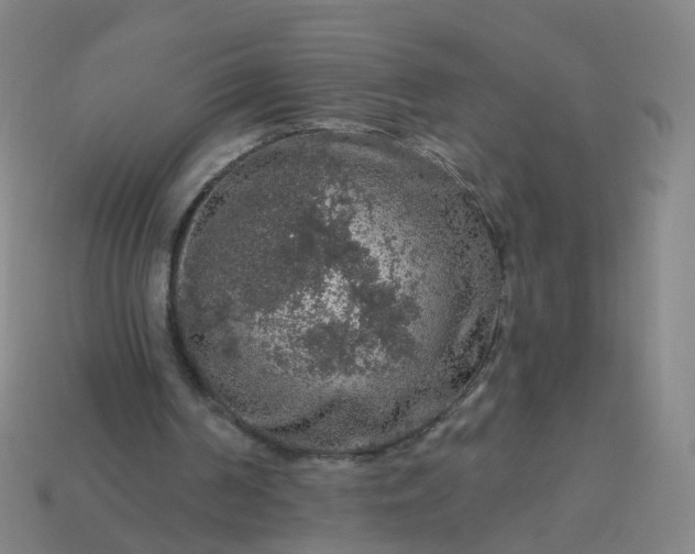 X0000114080194200910191549