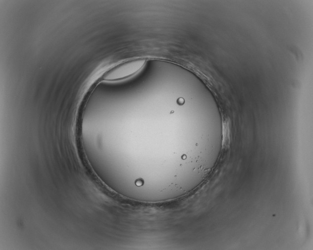 X0000114080195200910191549