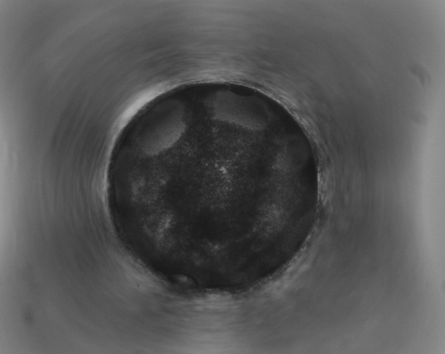 X0000114080196200910191549