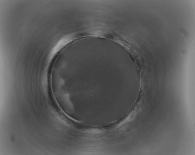 X0000114080198200910191549