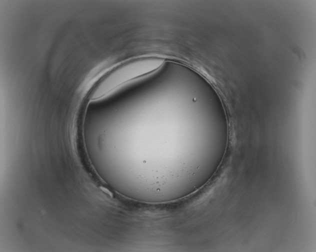 X0000114080199200910191549