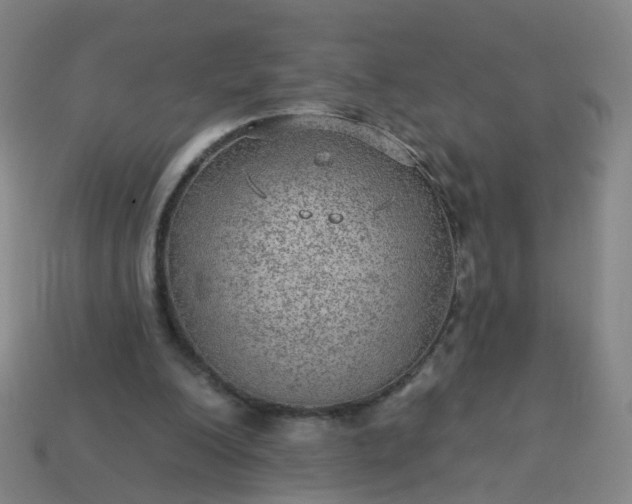 X0000114080200200910191549