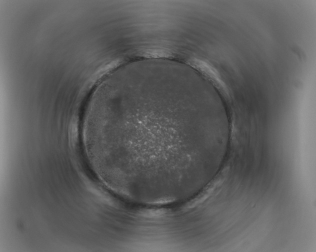 X0000114080202200910191549